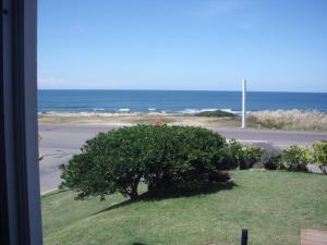 Příroda nedaleko apartmánu + 3 fotografie