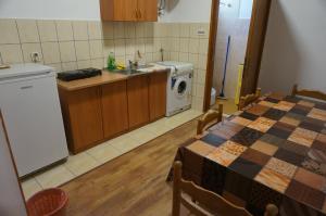 cocina con mesa y lavadora en Apartments Bozic, en Trebinje