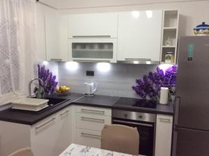 Kuchyň nebo kuchyňský kout v ubytování Apartment Karla SNB