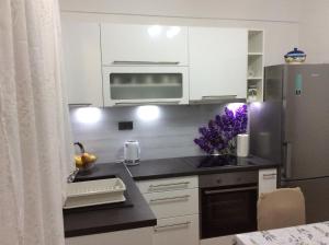 Kuchyň nebo kuchyňský kout v ubytování Apartment Karla SNB