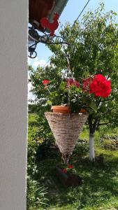 En hage utenfor KUĆA ZA ODMOR "DVA SRCA"