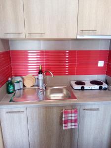 Kuchyň nebo kuchyňský kout v ubytování Villa Konstantinos