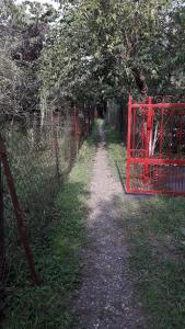 Foto dalla galleria di liziko's House a Kobuleti