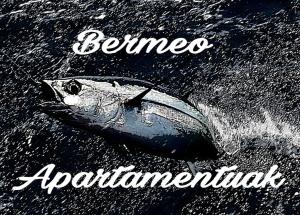 Zdjęcie z galerii obiektu Apartamentos-Bermeo w mieście Bermeo
