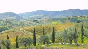 カルミニャーノにあるLa Solariaの木々や丘のブドウ畑を望む