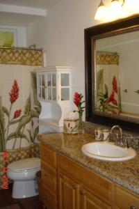 a bathroom with a sink and a toilet and a mirror at Bamboo Valley Inn in Haiku