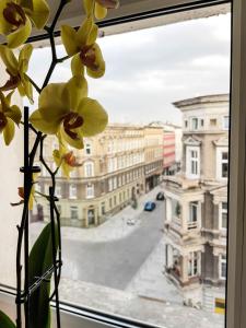 シュチェチンにあるLuksusowe Apartamenty w Centrum Szczecinaの窓際花瓶