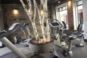 a gym with a tree and tread machines at Auberge Saint-Antoine in Quebec City
