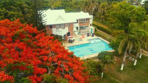 Casa de las Flores tropical内部或周边的泳池