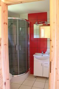 a bathroom with a shower and a sink at Domki pod gruszą in Kopalino