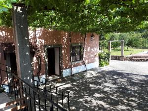 a brown building with a door under a tree at Quintinha de Santiago in Oliveira de Azemeis