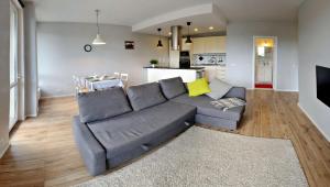 a living room with a gray couch and a kitchen at Dzuku apartment 40 in Vilnius