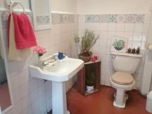 a bathroom with a white sink and a toilet at Doña Irene B & B in Rancagua