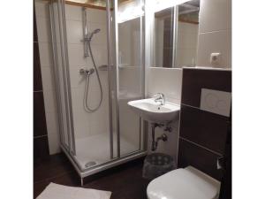 シュラートミンクにあるKirchenwirt Schladmingのバスルーム(シャワー、洗面台、トイレ付)