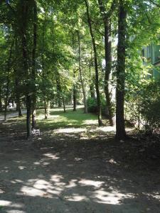 un parc avec des arbres et une personne assise sur un banc dans l'établissement Zielone Studio, à Oborniki Śląskie