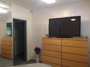 TV a/nebo společenská místnost v ubytování Apartmán Brno Jelenice