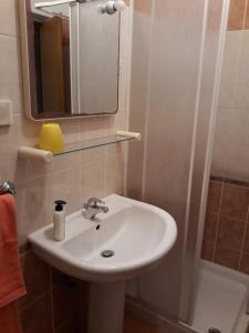 a bathroom with a white sink and a mirror at Apartmani Goga - Molat 6 in Molat