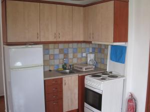 uma cozinha com um frigorífico branco e um fogão forno superior em Ikaria Utopia - Cusco Studios em Evdilos