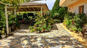 a garden with potted plants on a patio at Guesthouse Villa Joanna&Mattheo in Sarand&euml;