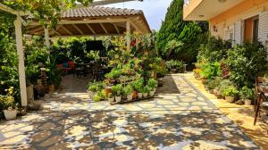 een tuin met potplanten op een patio bij Guesthouse Villa Joanna&Mattheo in Sarandë
