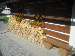 Fotografia z galérie ubytovania Privat SKI Erlebach v destinácii Rokytnice nad Jizerou