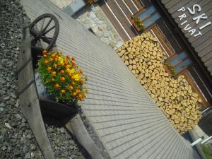 Fotografia z galérie ubytovania Privat SKI Erlebach v destinácii Rokytnice nad Jizerou