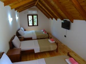 1 dormitorio con 2 camas y TV en una habitación en Apartmani Vinici, en Danilovgrad