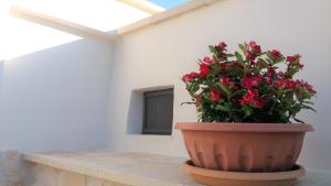 Fotografie z fotogalerie ubytování Trullo degli Augelli v destinaci San Michele Salentino
