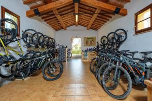 Kerékpározás Poggio all'Agnello Sport & Family Holidays környékén