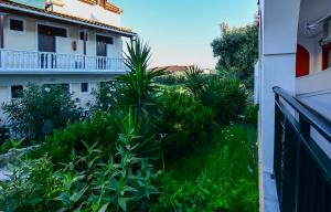 Zahrada ubytování Villa Phoenix