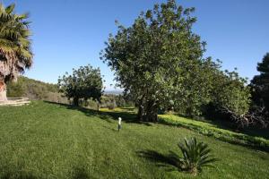 A garden outside Petit