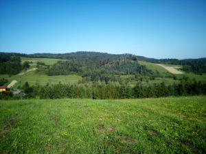 Fotografia z galérie ubytovania Bjorkowo v destinácii Polańczyk + 4 fotografie