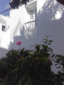 Vonkajšia záhrada v ubytovaní Casa Patio Paraíso