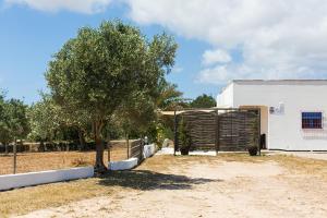a tree in front of a building with a fence at Ca Na Maria Teueta in San Ferrán de ses Roques