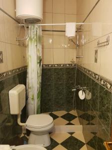 a bathroom with a toilet and a shower at Gudelj Apartments in Perast +82 photos