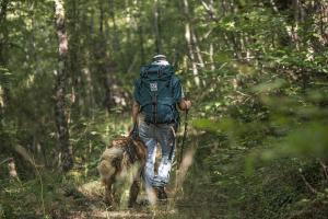 Domácí mazlíčci ubytovaní s hosty v ubytování A Casa Da Agata