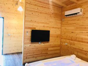 a room with a tv on a wooden wall at Kompleksi Turistik EDIR in Orikum