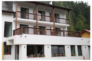 Gallery image of Pensiunea Antia in Durau