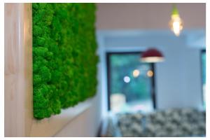 Gallery image of Pensiunea Antia in Durau