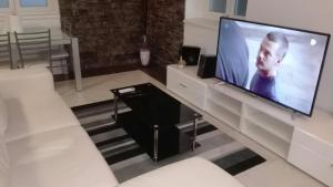 TV/Unterhaltungsangebot in der Unterkunft Apartment Osk