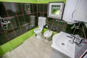 a bathroom with a toilet and a sink and a mirror at Apartments River Una 4 in Bihać
