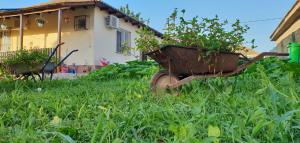 Zahrada ubytování Casa Enka