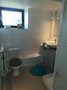 a bathroom with a toilet and a sink and a window at Le willou in Malmedy