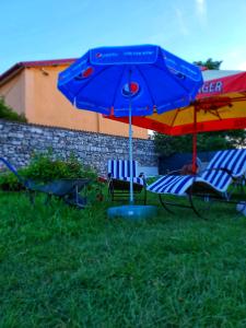 Zahrada ubytování Casa Enka