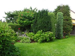 a garden with bushes and flowers in a yard at Ferienwohnungen Pilke in Oranienburg