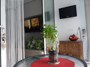 a vase on a table with a plant on it at Aloha Paraíso in Torremolinos