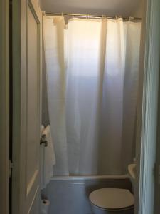 a bathroom with a toilet and a white shower curtain at Las Olivas in Candeleda