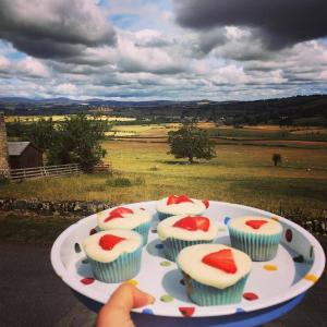 um prato de queques com morangos num campo em Country Getaway - Tosson Tower Farm em Rothbury