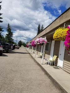 una fila de flores al lado de un edificio en Sun Plaza Motel en Sundre