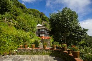 Kebun di luar Everest Manla Resort